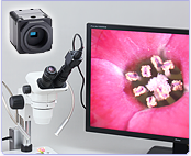PC direct USB/CCD Camera for microscope