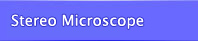 stereo microscope