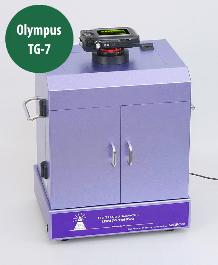 gel documentation system