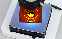 LED Transmitted light for fluorescence excitation