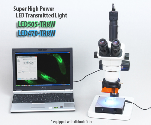 fluorescence excitation LED transmitted light for stereo microscope