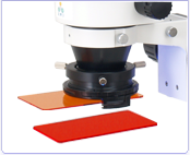 Filter Holder system for Stereo Microscope