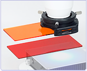 Regular filter holder system for stereo microscope fluorescence observation