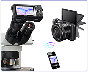 Microscope Adapter for mirrorless dslr