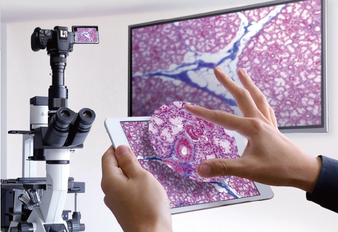 Microscope adapter set with Canon EOS Rebel SL3 and NY-1S adapter