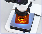 LED Transmitted light for Stereo Microscope