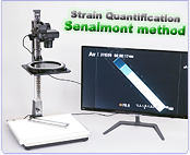 strain inspection rainbow viewer