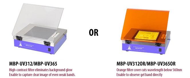 UV transilluminator